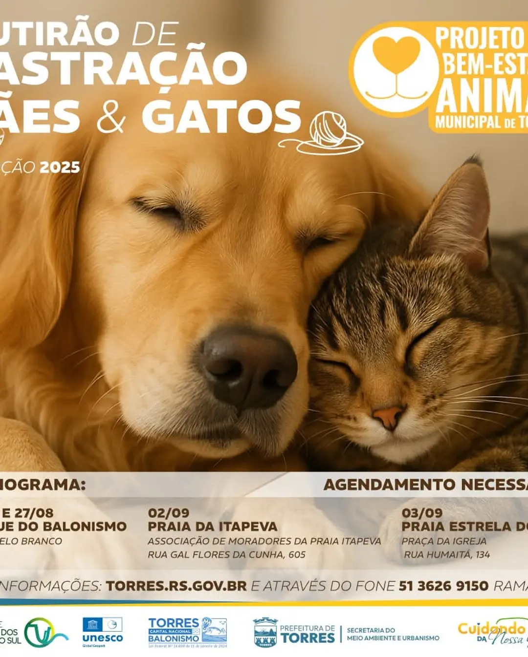 Torres Realiza Mutirão Gratuito de Castração para Cães e Gatos em 2025