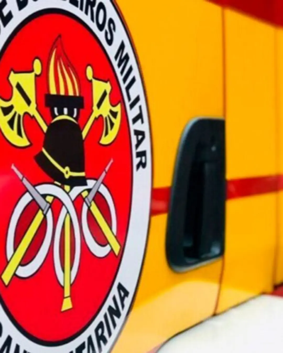 Tragédia em Curitibanos: Criança de 8 anos Morre Atropelada em Frente à Escola