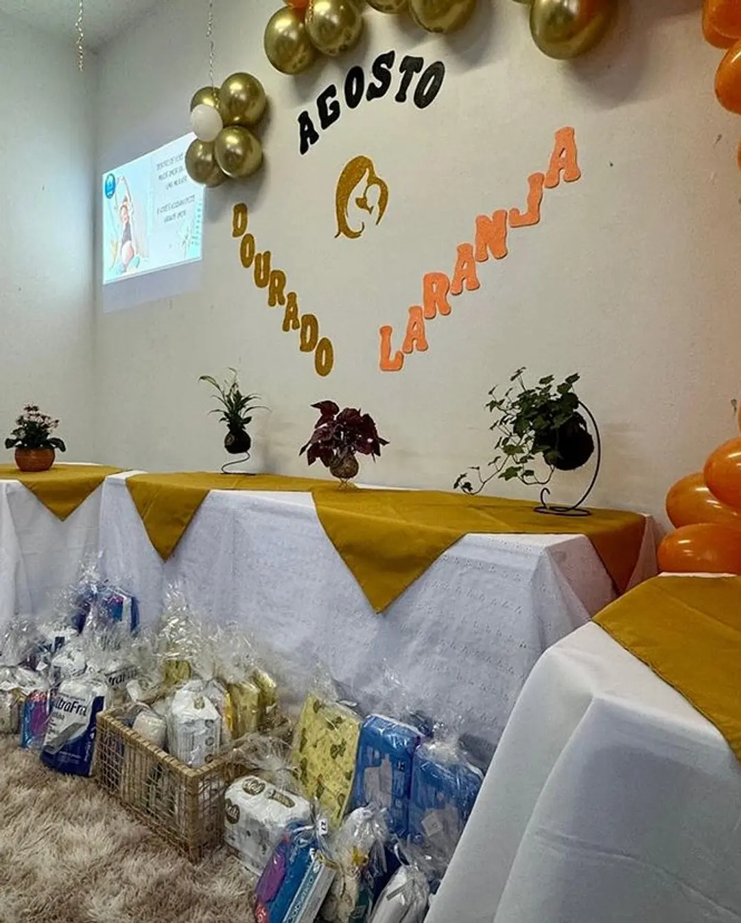 Santa Rosa do Sul promove ação especial para gestantes no Agosto Dourado e Laranja