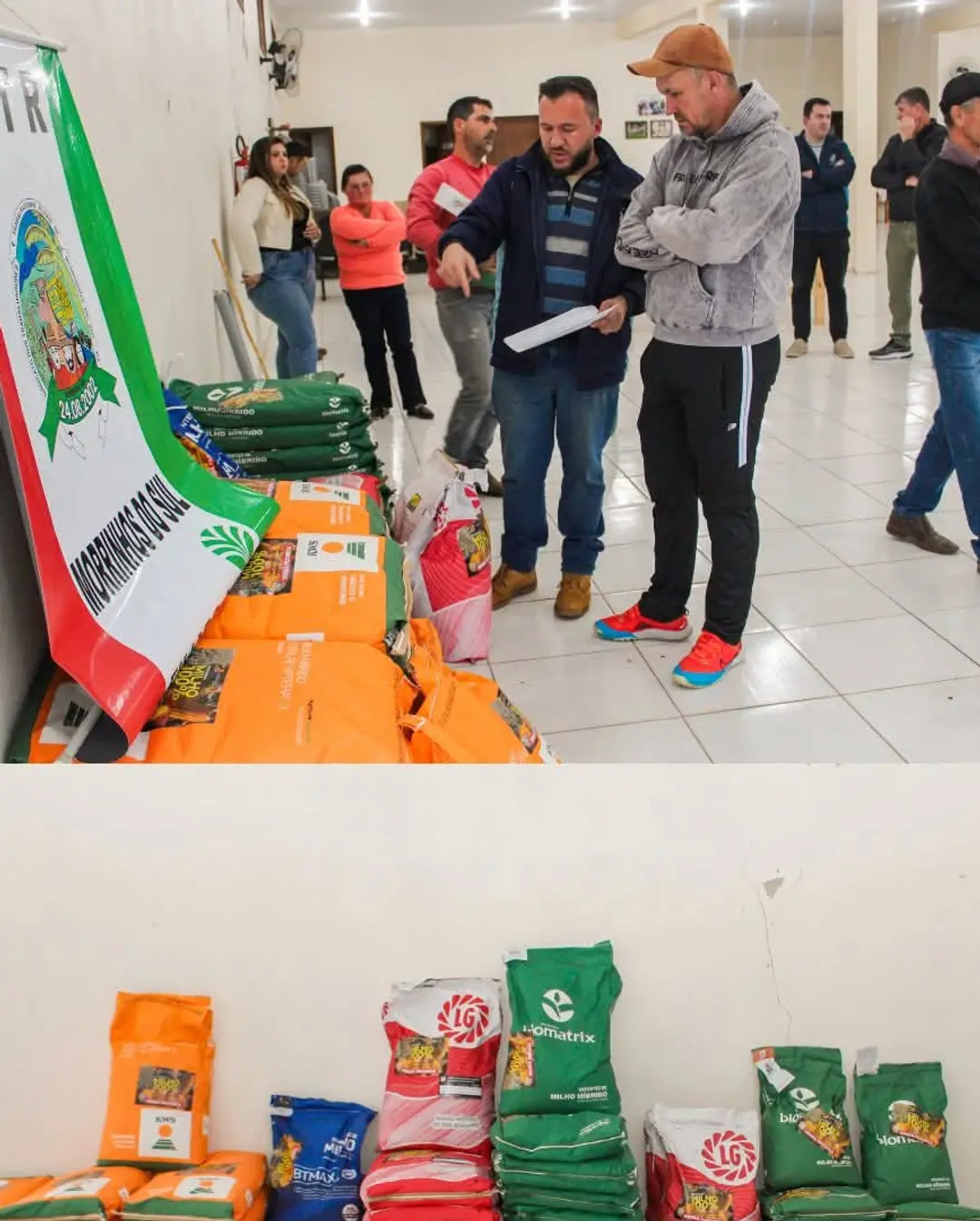 Morrinhos do Sul Impulsiona Agricultura Familiar com Distribuição Gratuita de Sementes de Milho