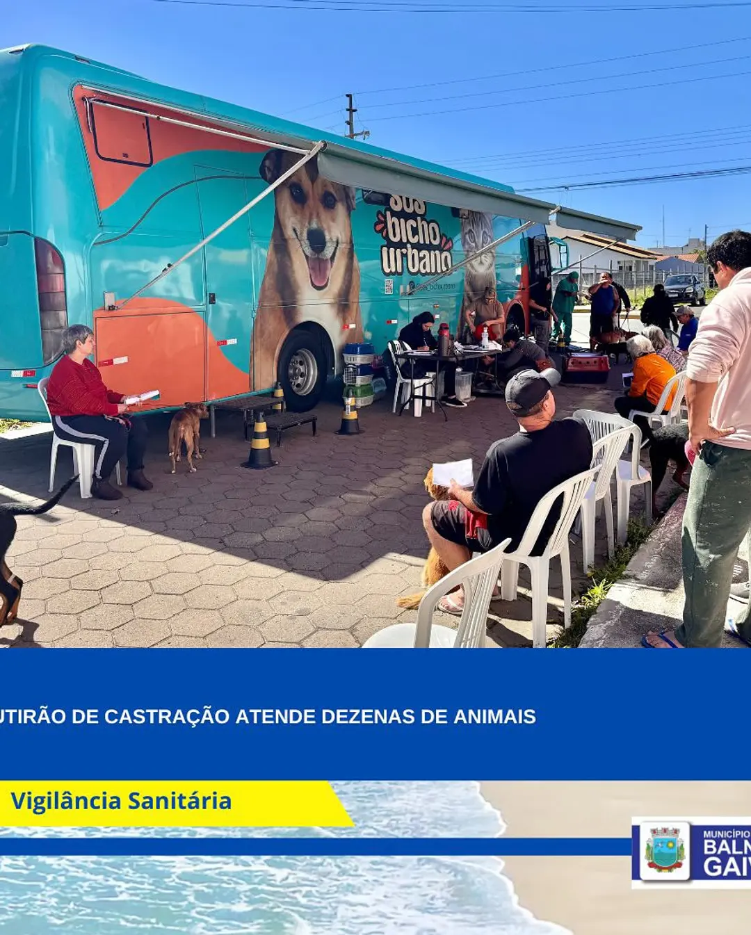 Balneário Gaivota Realiza Mutirão de Castração e Promove o Bem-Estar Animal