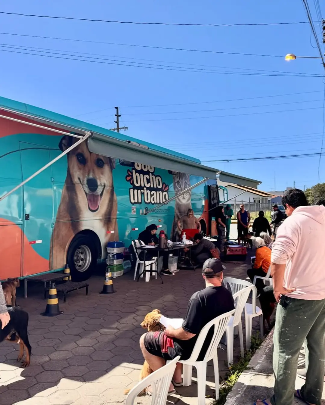 Balneário Gaivota Realiza Mutirão de Castração e Promove o Bem-Estar Animal