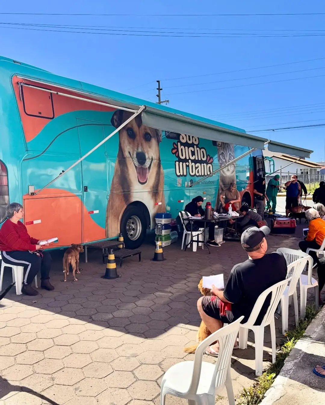 Balneário Gaivota Realiza Mutirão de Castração e Promove o Bem-Estar Animal