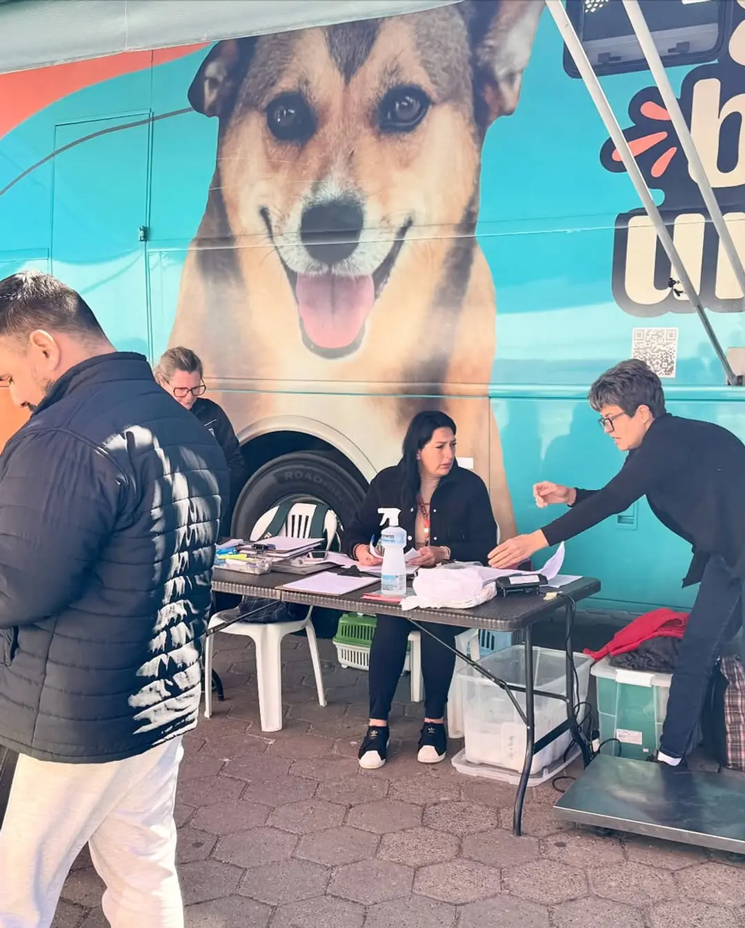 Balneário Gaivota Realiza Mutirão de Castração e Promove o Bem-Estar Animal