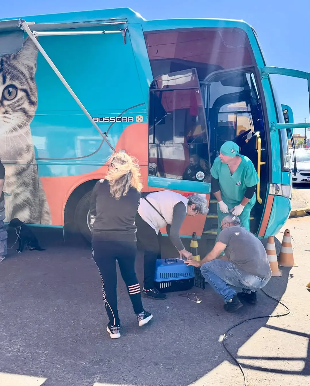 Balneário Gaivota Realiza Mutirão de Castração e Promove o Bem-Estar Animal