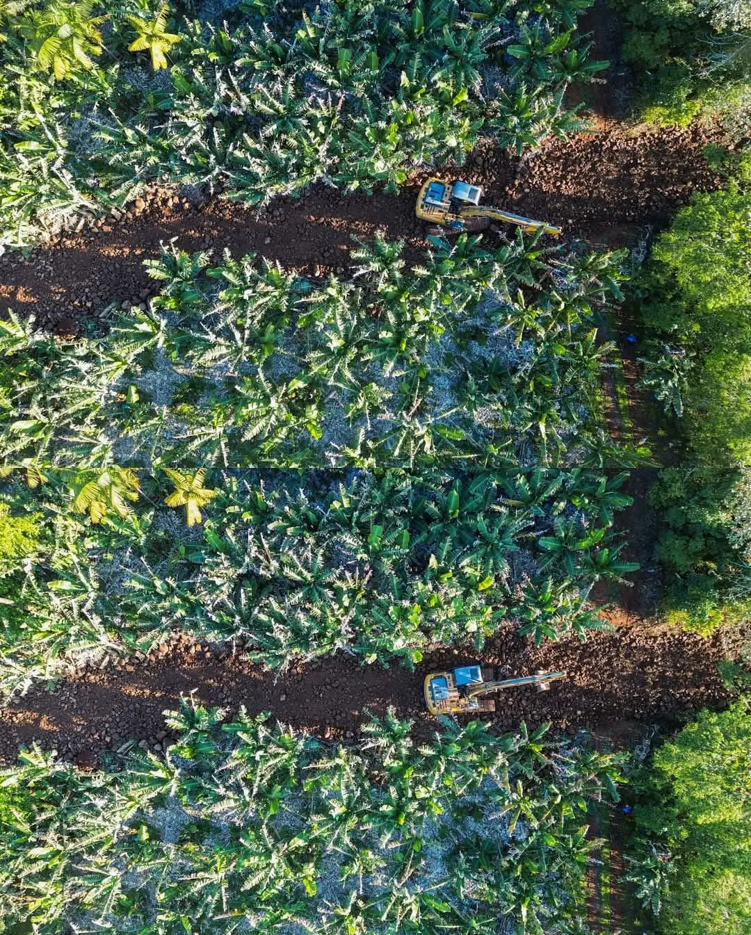 Morrinhos do Sul: Desassoreamento e Recuperação de Estradas Melhoram Vila Três Passos