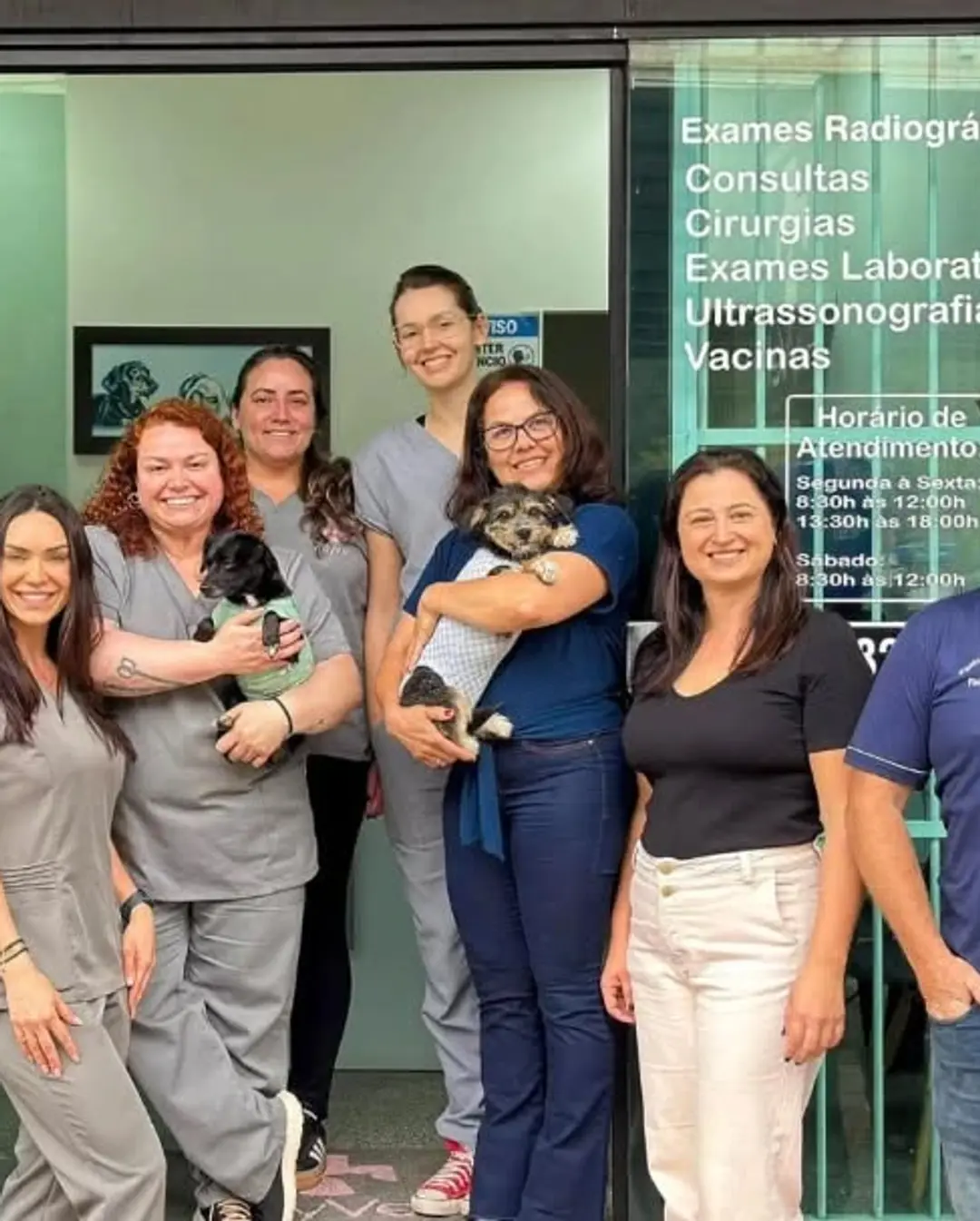 Dom Pedro de Alcântara Realiza Campanha de Castração e Atende 190 Animais