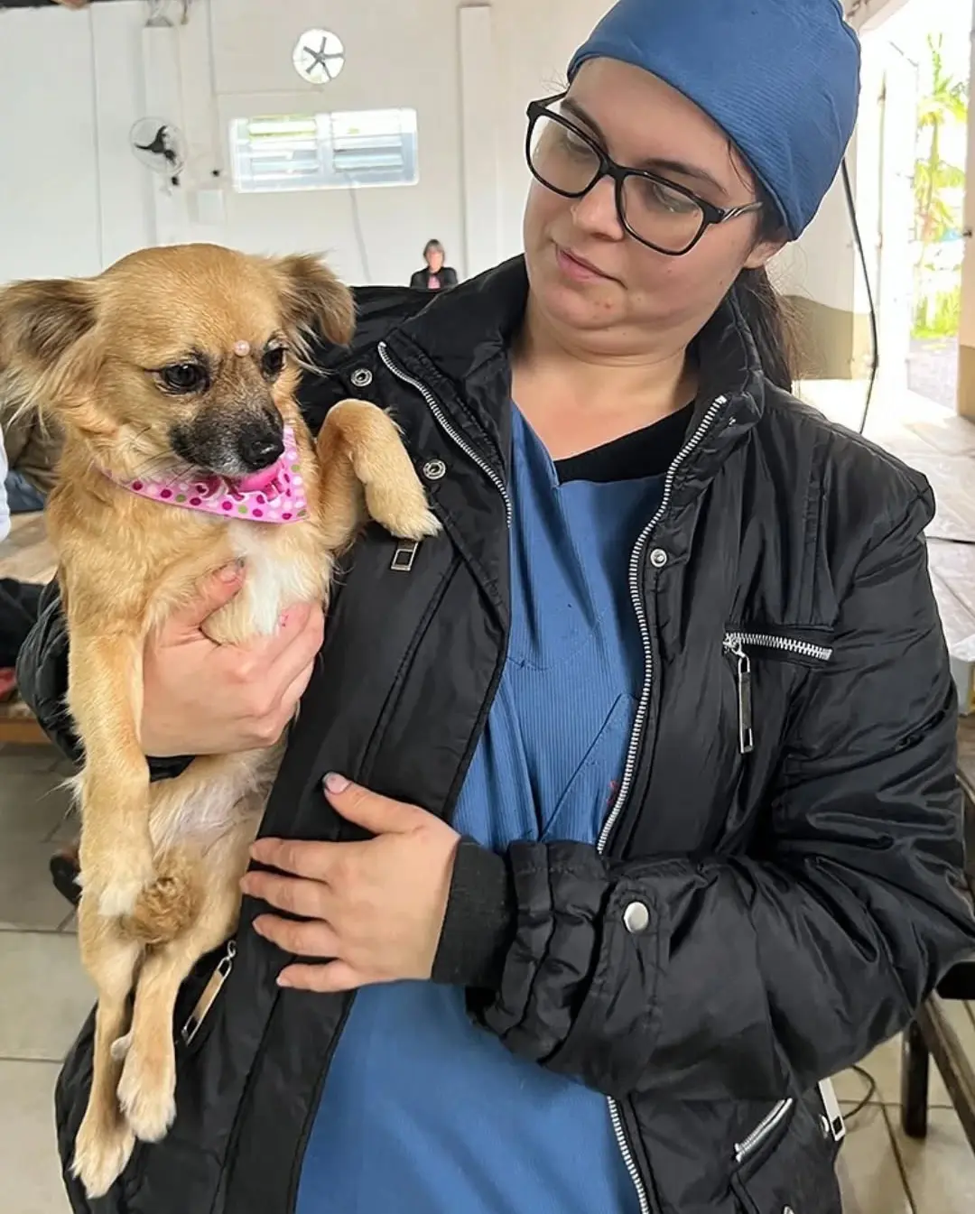 Jacinto Machado Promove Segundo Mutirão de Castração em 2025