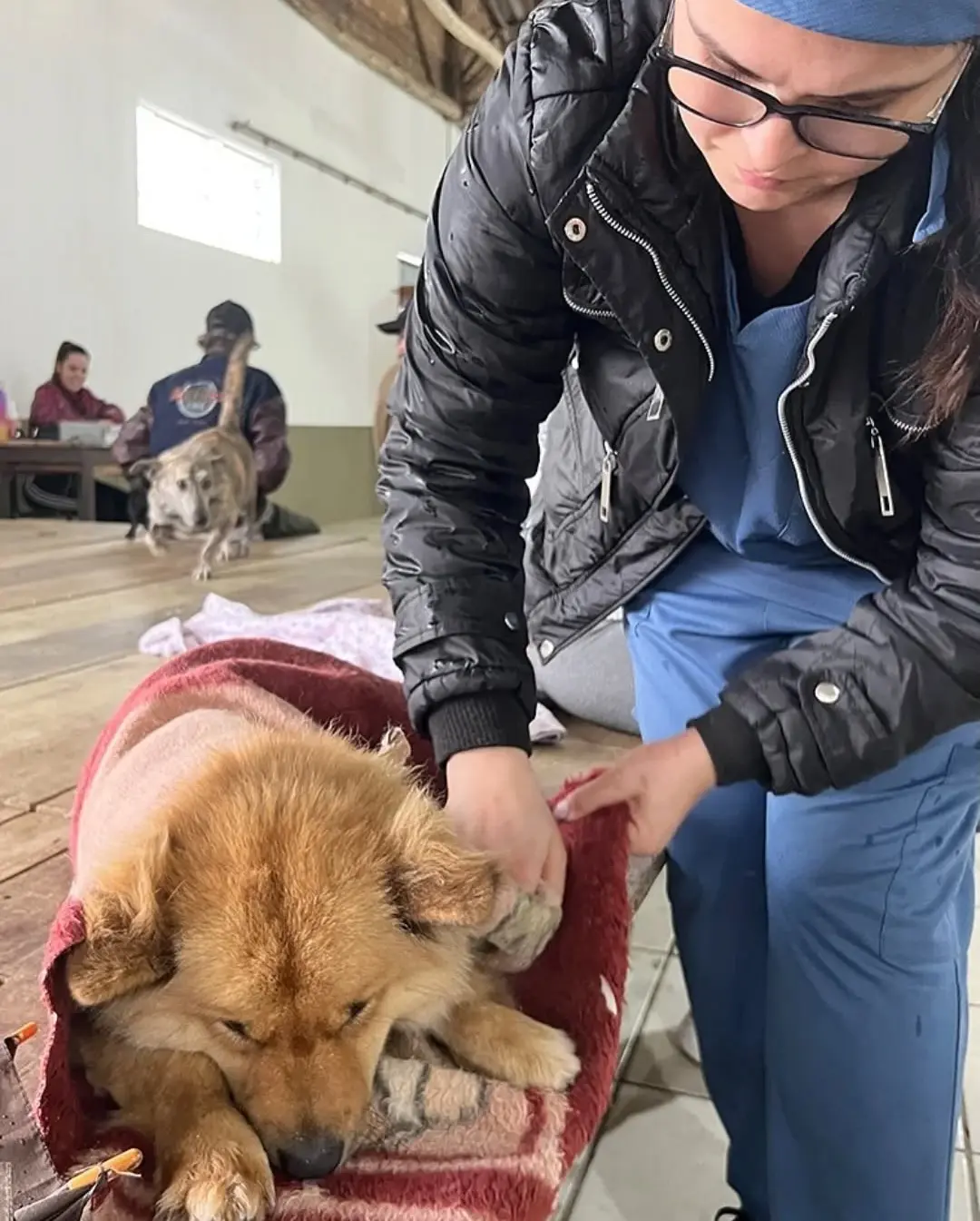 Jacinto Machado Promove Segundo Mutirão de Castração em 2025