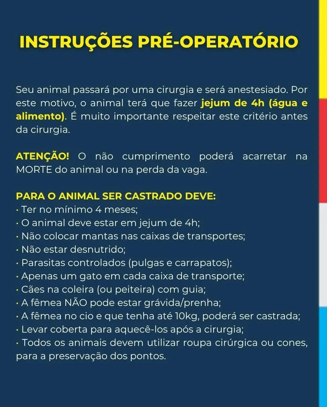 Castração de Animais em Araranguá: Atenção ao Jejum Pré-Operatório