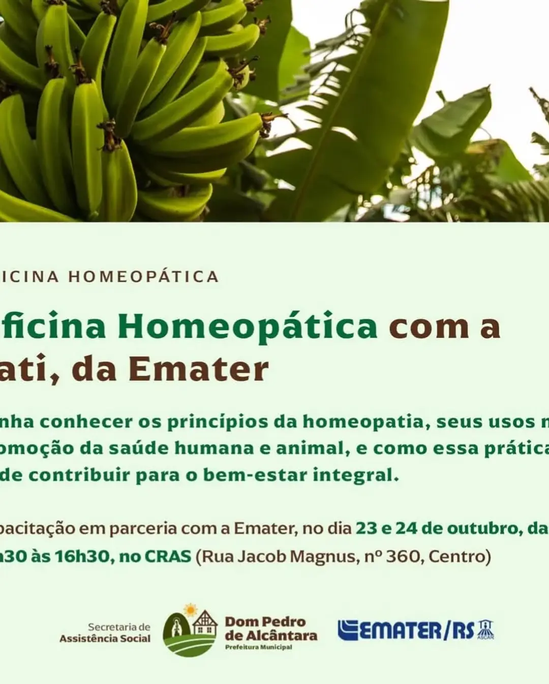 Dom Pedro de Alcântara Promove Oficina Gratuita de Homeopatia com Foco em Saúde Humana e Animal