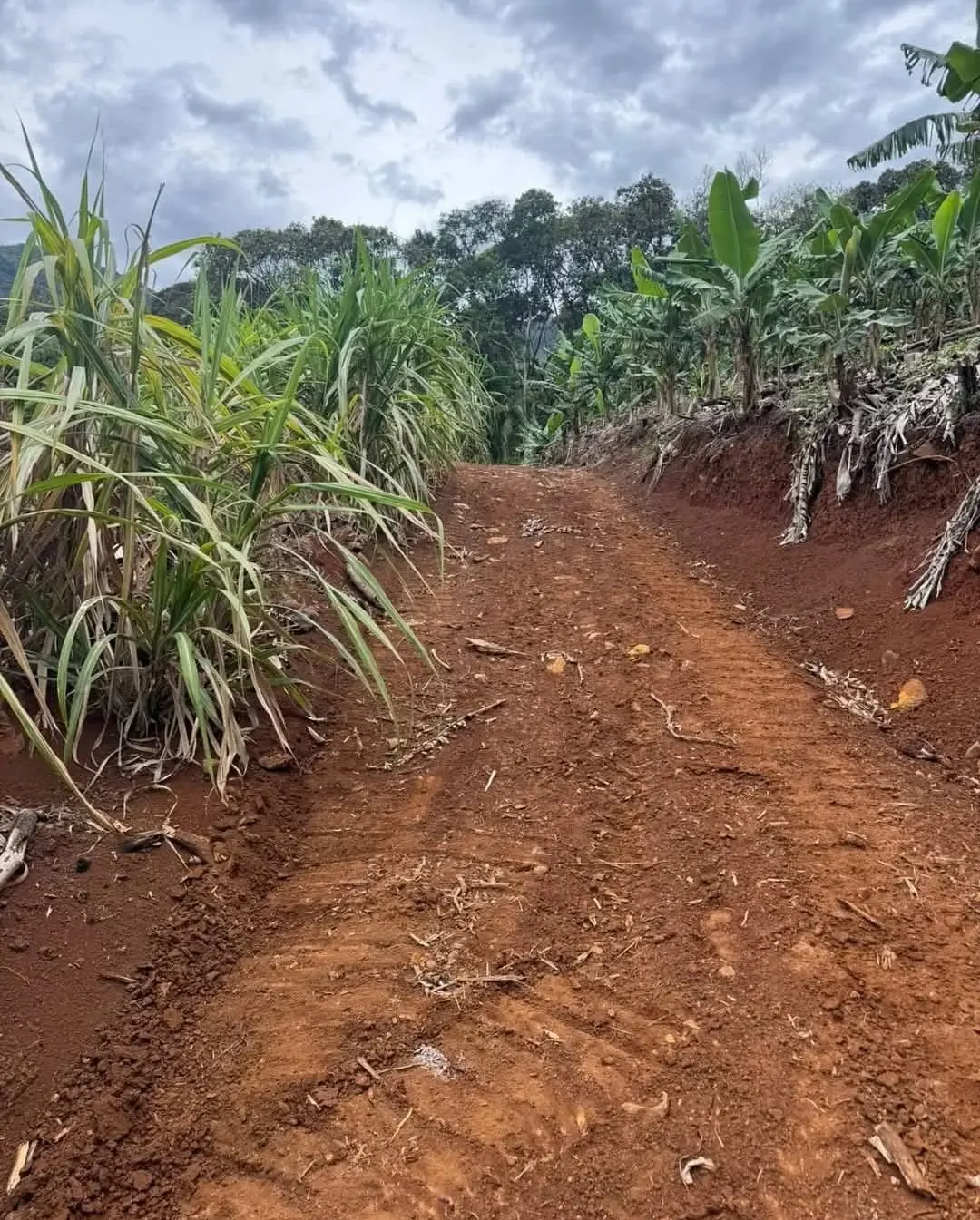 Prefeita de Três Cachoeiras Acompanha de Perto o Serviço de Hora Máquina em Propriedades Agrícolas