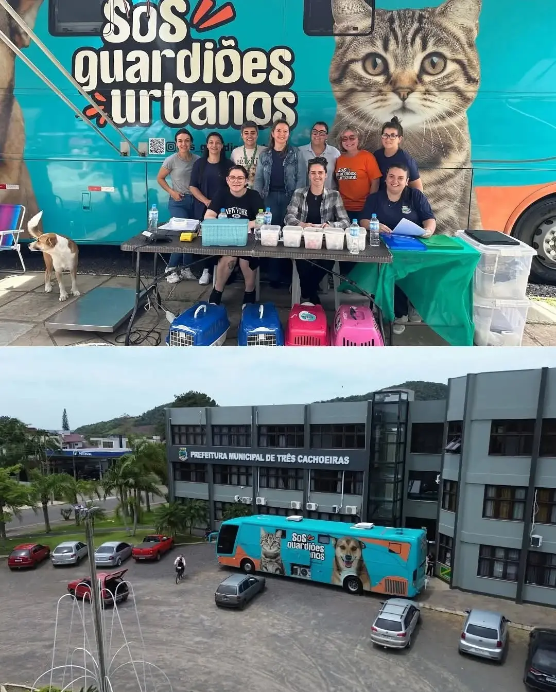 Mutirão de Castração em Três Cachoeiras Beneficia Mais de 120 Animais