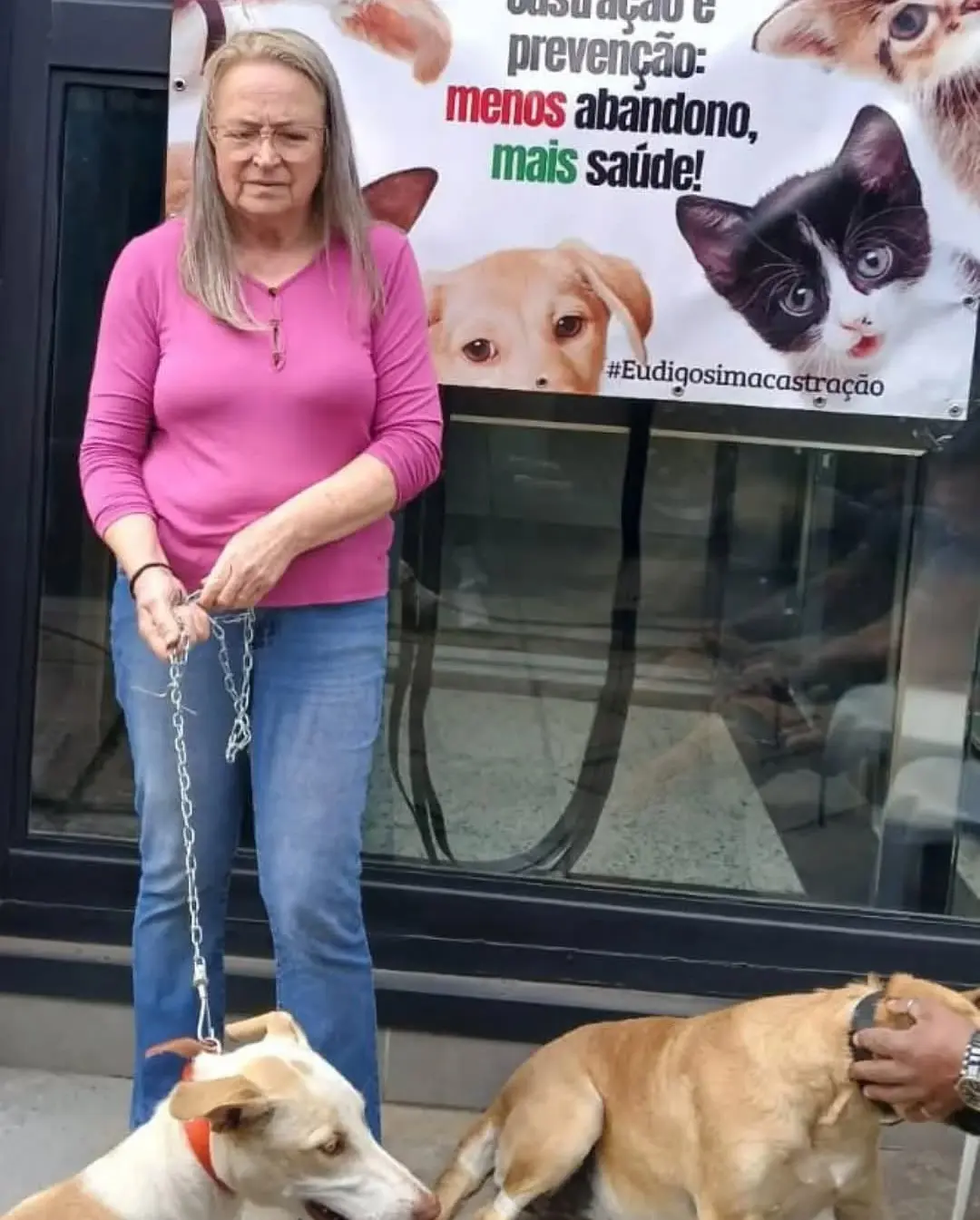 Mutirão de Castração em Três Cachoeiras Beneficia Mais de 120 Animais