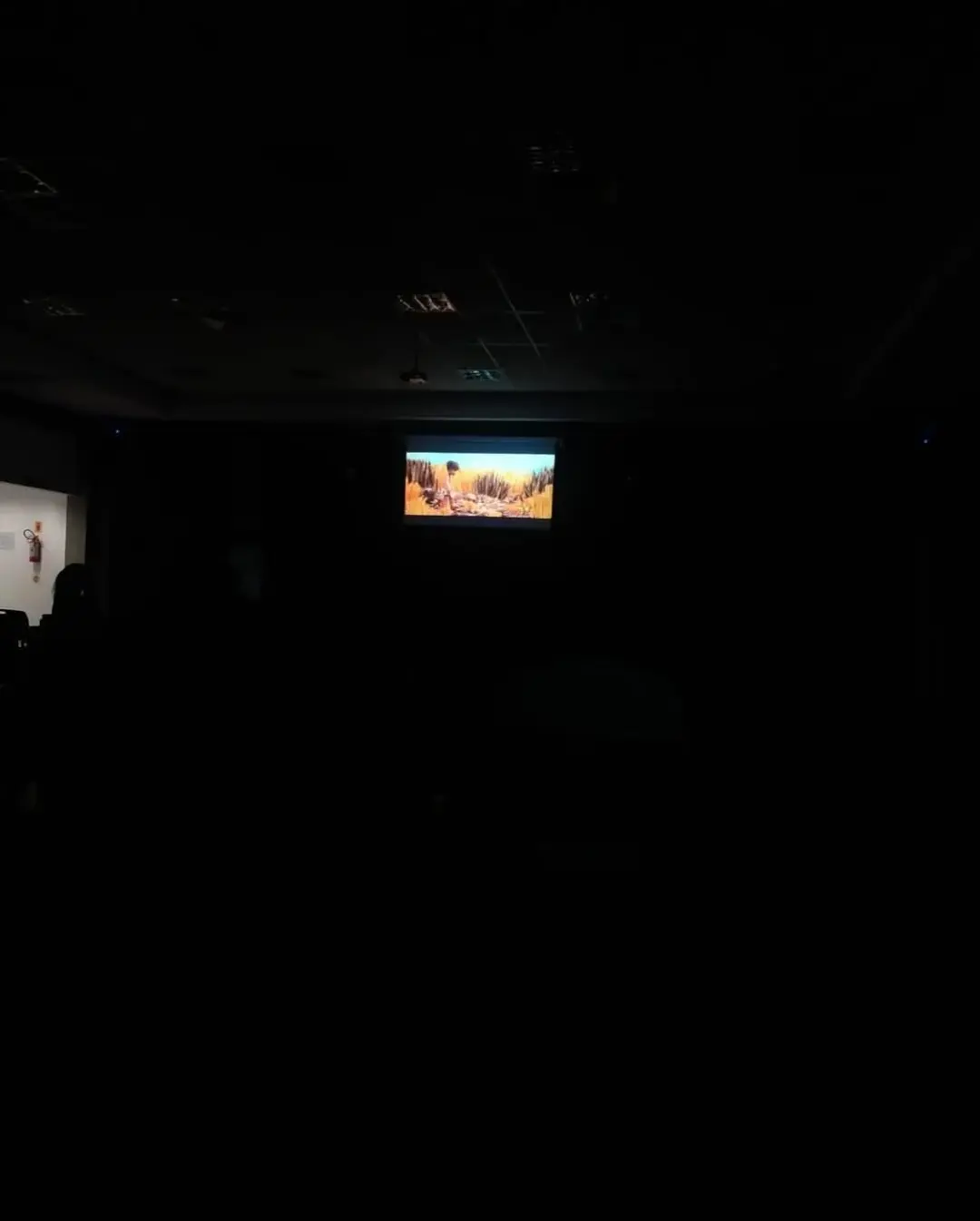 Turvo Celebra o Dia Internacional da Animação com Exibições Gratuitas de Cinema