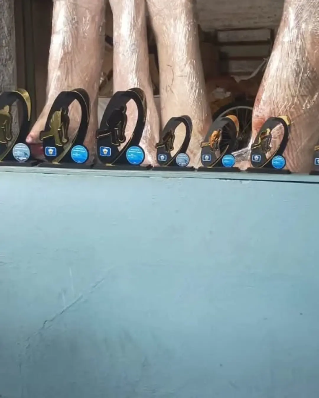 Tarde de Jogos de Bocha Agita Sapiranga, Meleiro: Nei e Deko Levam o Ouro