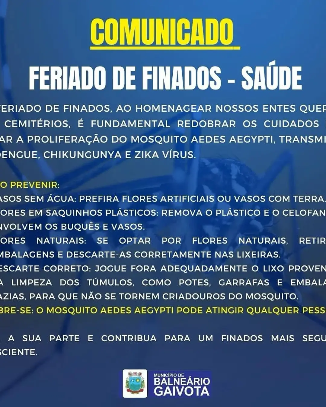 Feriado de Finados: Balneário Gaivota Alerta para Prevenção da Dengue