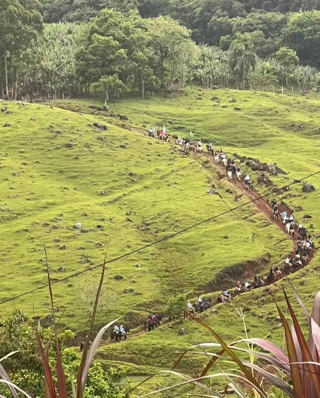 Tradição e Fé se Encontram na 1ª Cavalgada Luterana de Três Cachoeiras