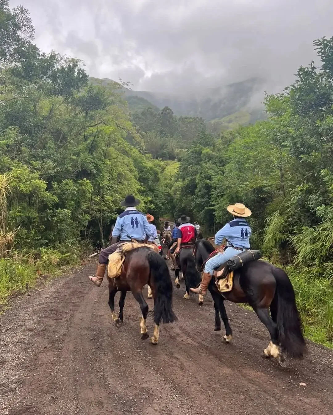 Tradição e Fé se Encontram na 1ª Cavalgada Luterana de Três Cachoeiras