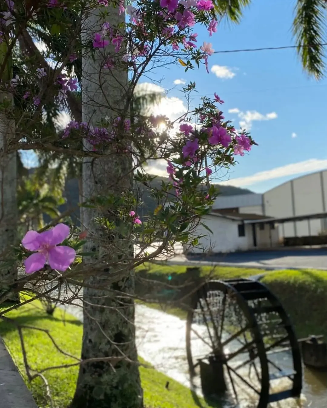 Meleiro Celebra 64 Anos de História e Prosperidade