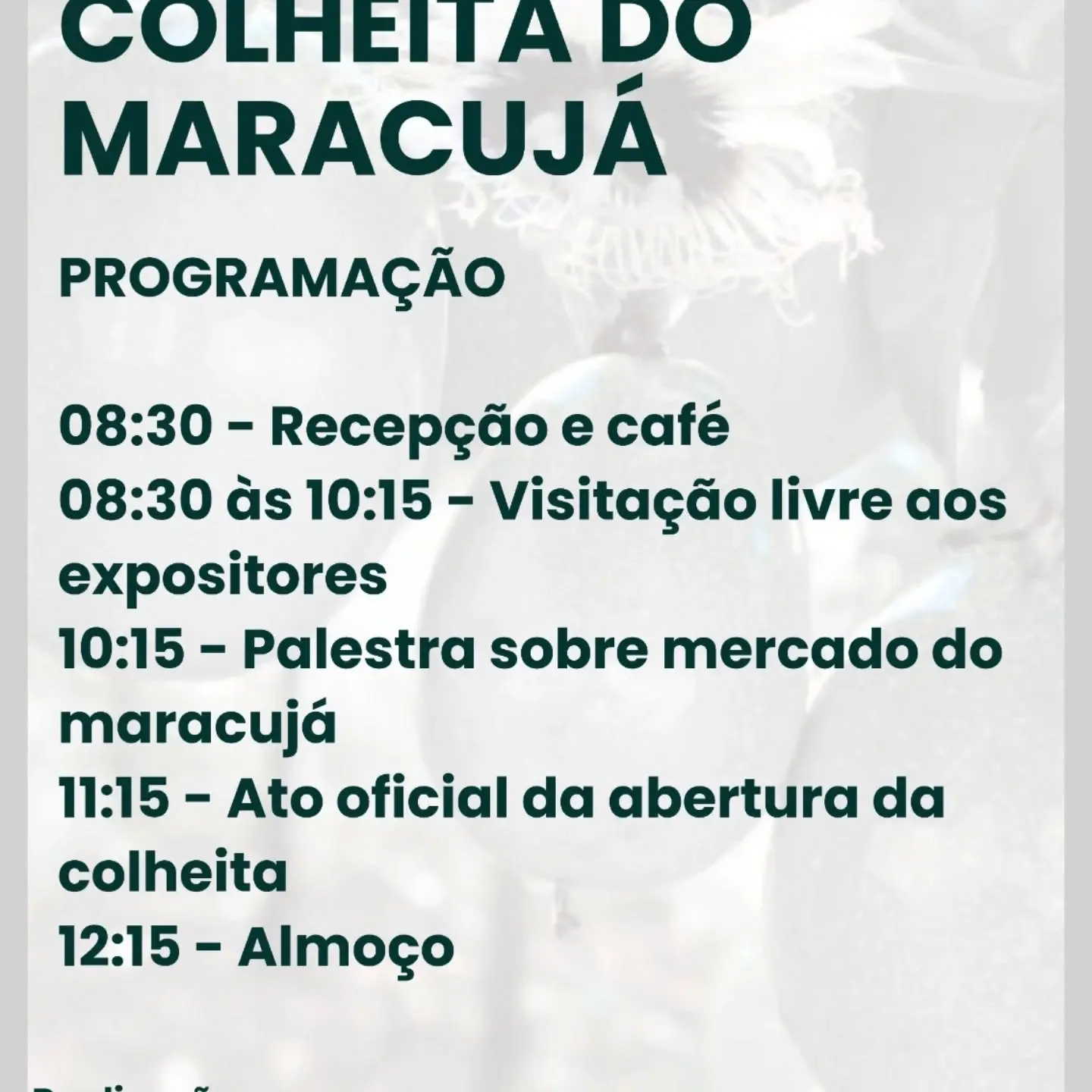 Vila São José em São João do Sul se Prepara para Evento Imperdível!