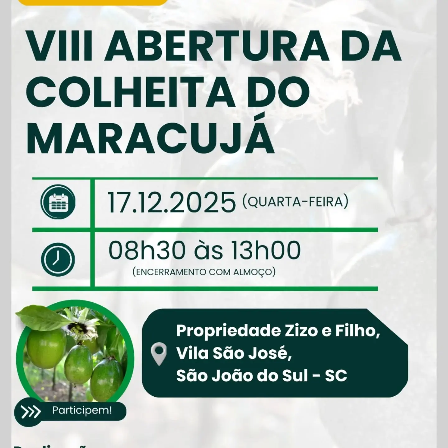 Vila São José em São João do Sul se Prepara para Evento Imperdível!