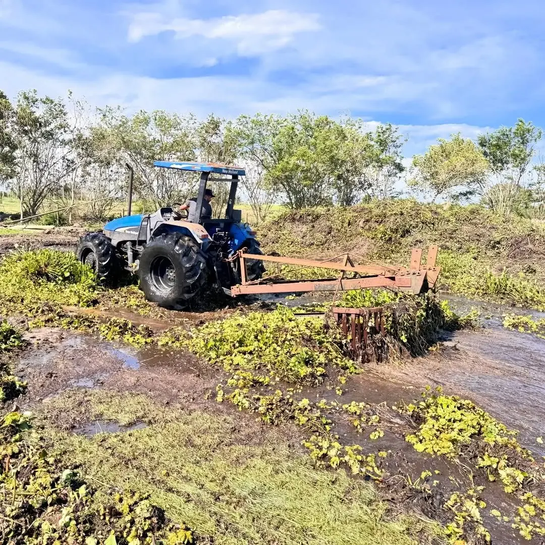 Balneário Gaivota Inicia Limpeza da Lagoa de Fora para Preservação Ambiental