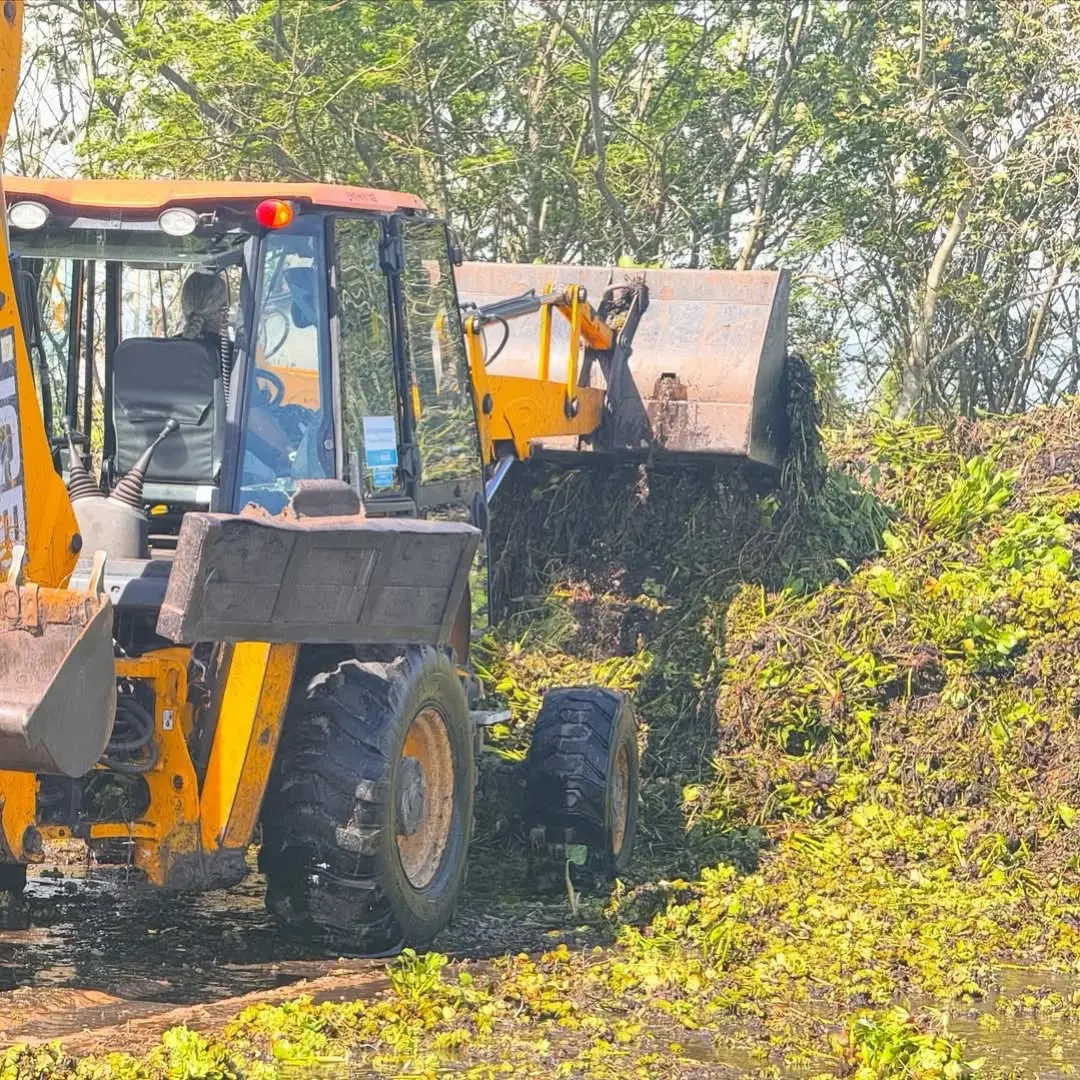 Balneário Gaivota Inicia Limpeza da Lagoa de Fora para Preservação Ambiental