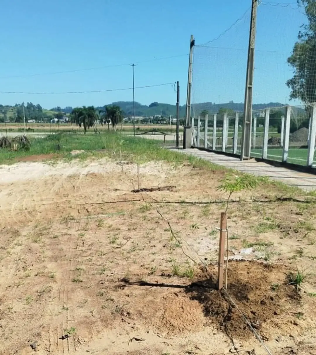 Santa Rosa do Sul Revitaliza Parque da Polvilhana com Paisagismo Nativo