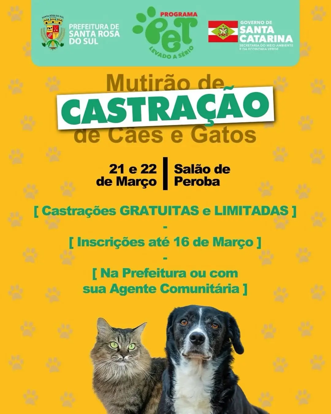 Santa Rosa do Sul Promove Mutirão de Castração Gratuito para Cães e Gatos