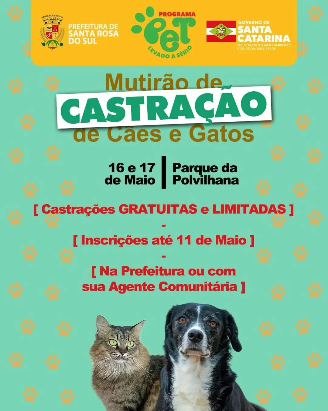 Santa Rosa do Sul Promove Mutirão de Castração Gratuito para Cães e Gatos