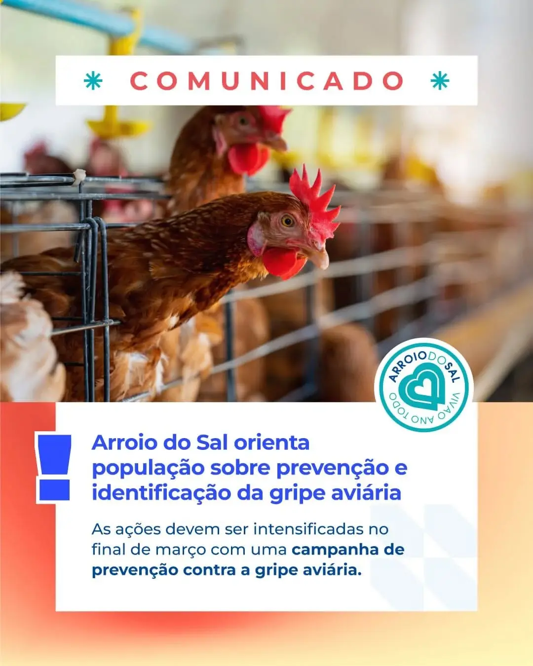 Gripe Aviária: Arroio do Sal intensifica prevenção e orienta população