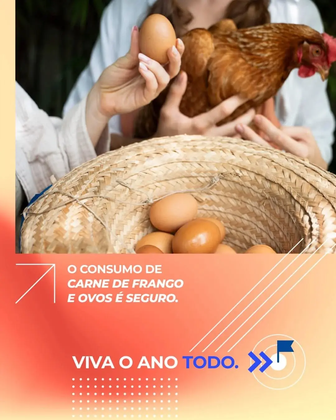 Gripe Aviária: Arroio do Sal intensifica prevenção e orienta população