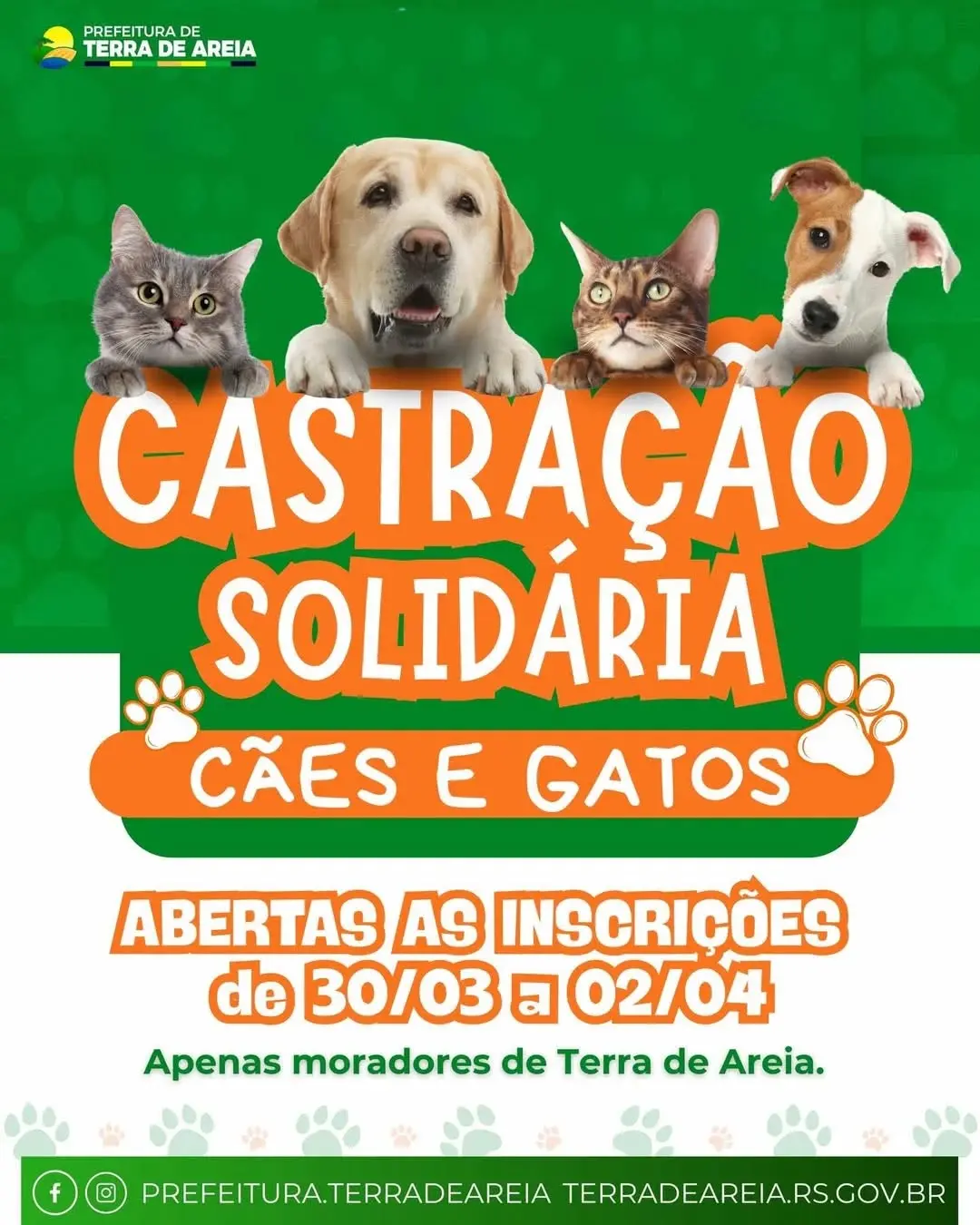 Terra de Areia Promove Castração Solidária para Cães e Gatos: Inscrições Abertas!