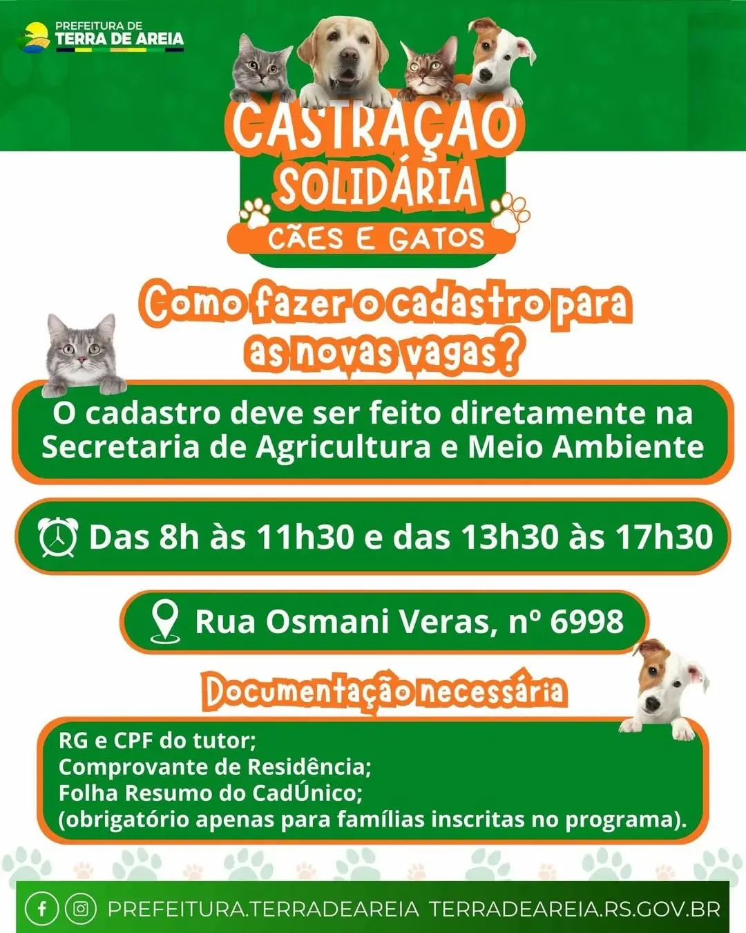 Terra de Areia Promove Castração Solidária para Cães e Gatos: Inscrições Abertas!