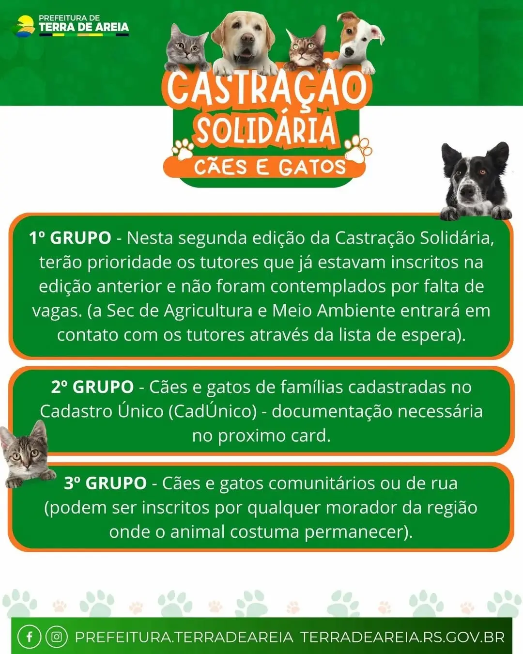 Terra de Areia Promove Castração Solidária para Cães e Gatos: Inscrições Abertas!