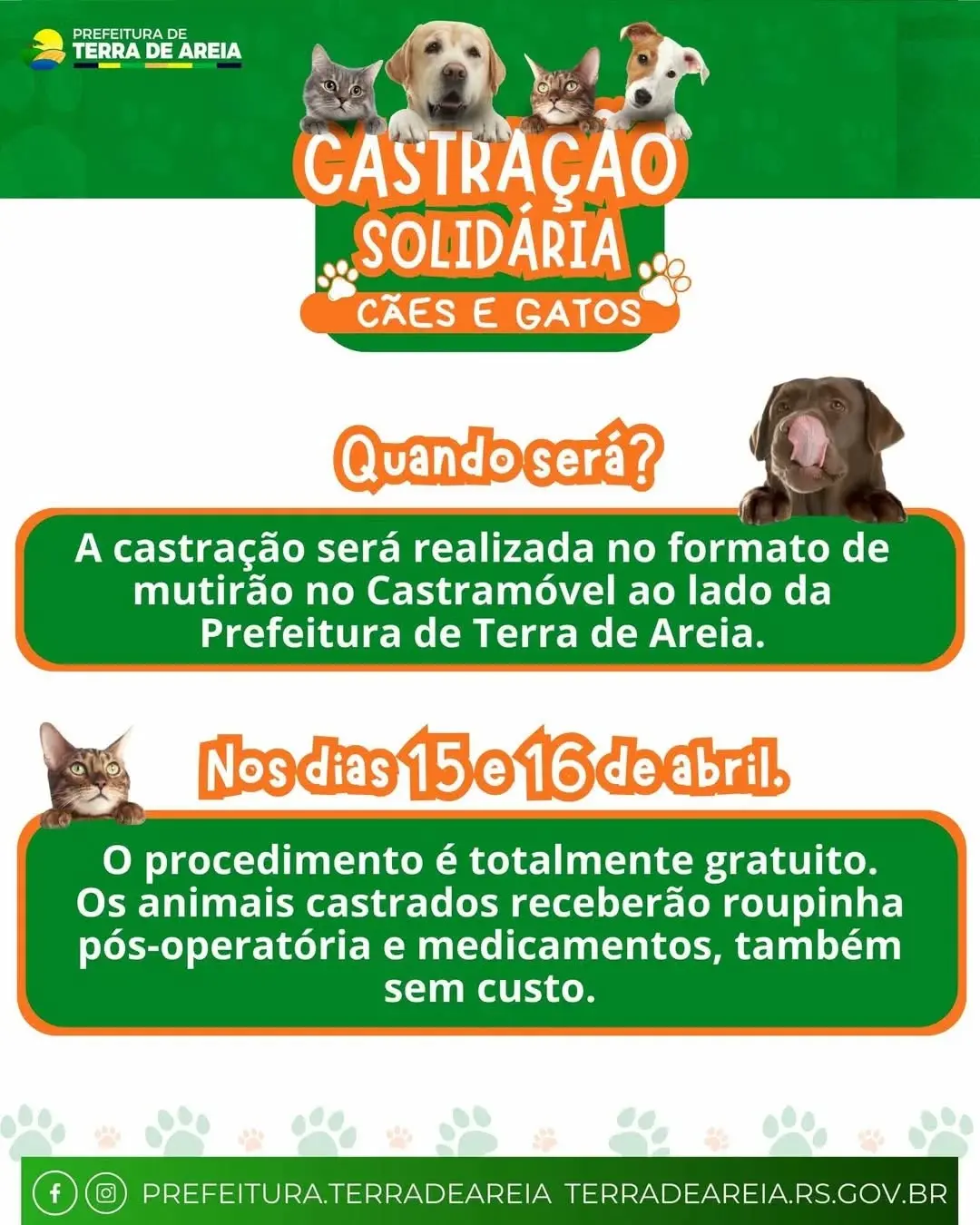 Terra de Areia Promove Castração Solidária para Cães e Gatos: Inscrições Abertas!