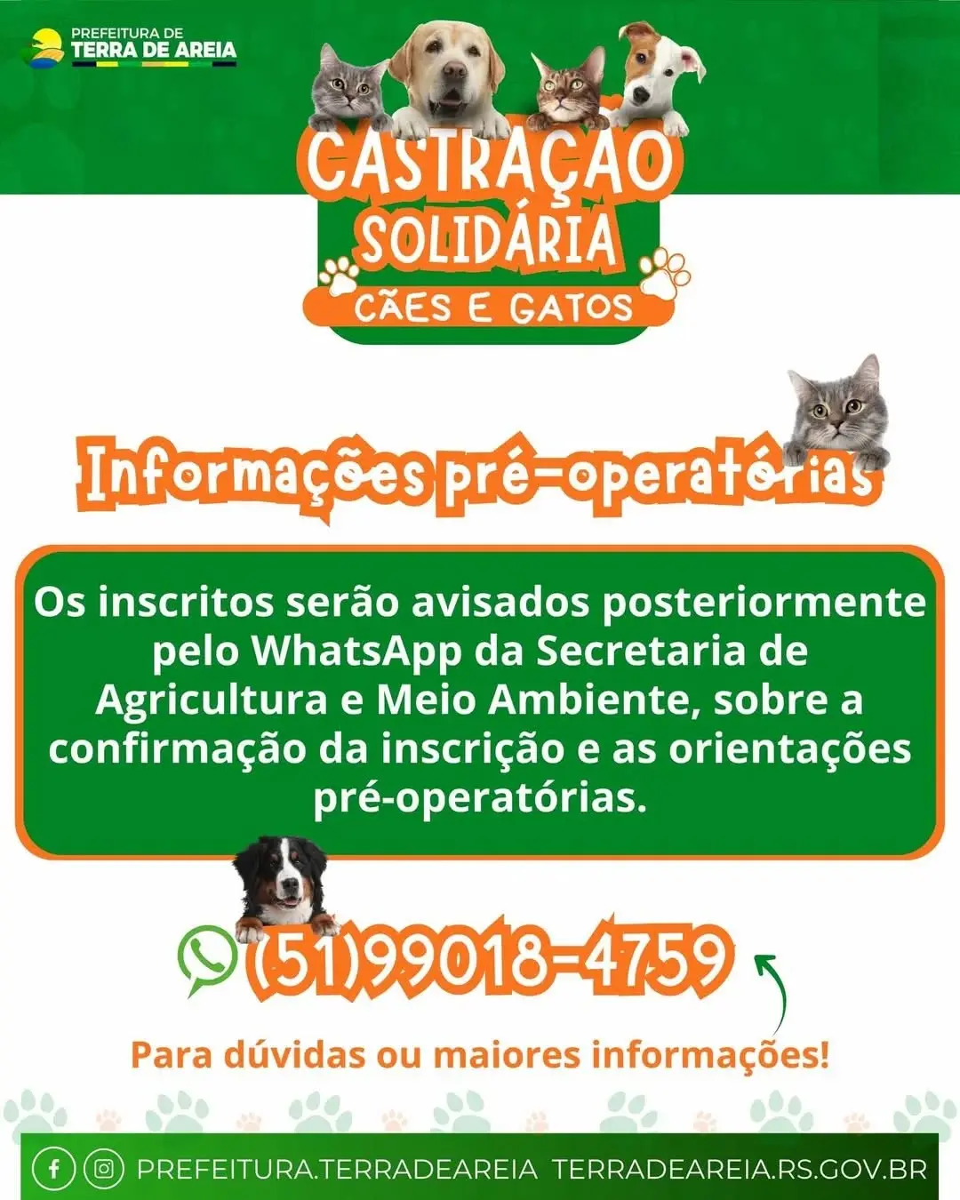 Terra de Areia Promove Castração Solidária para Cães e Gatos: Inscrições Abertas!