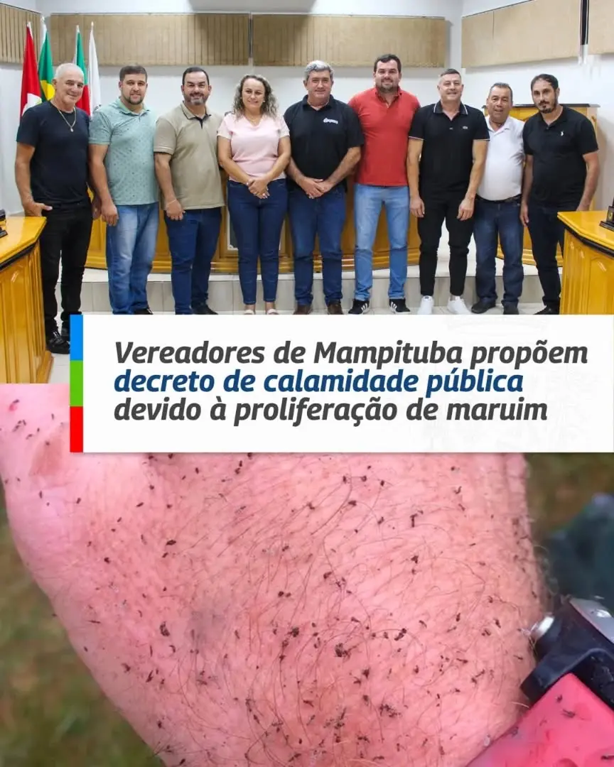 Mampituba Declara Calamidade Pública Devido à Proliferação de Maruim: Entenda a Situação