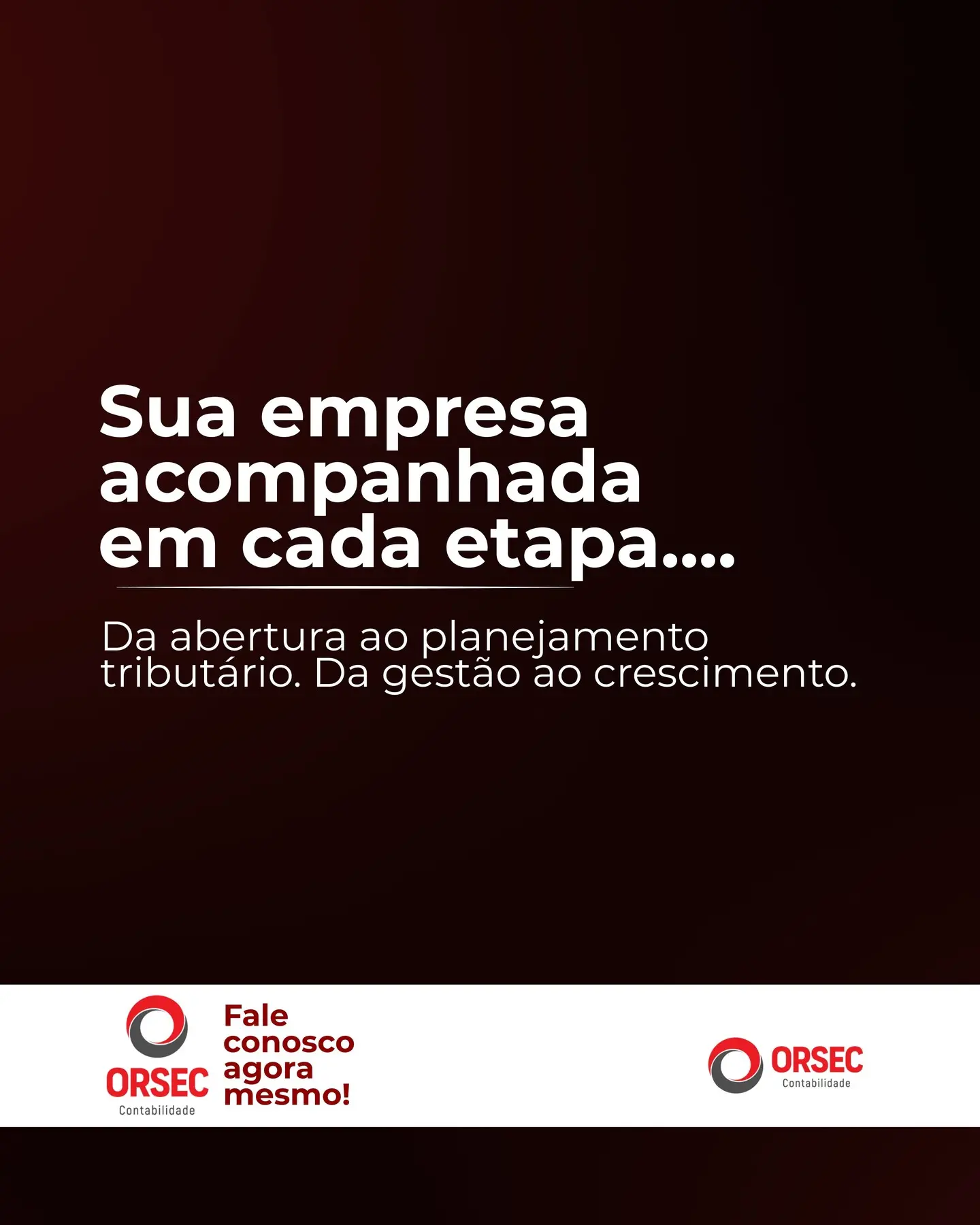 Contabilidade para Empresas: Um Guia Completo para Abertura, Gestão e Sucesso