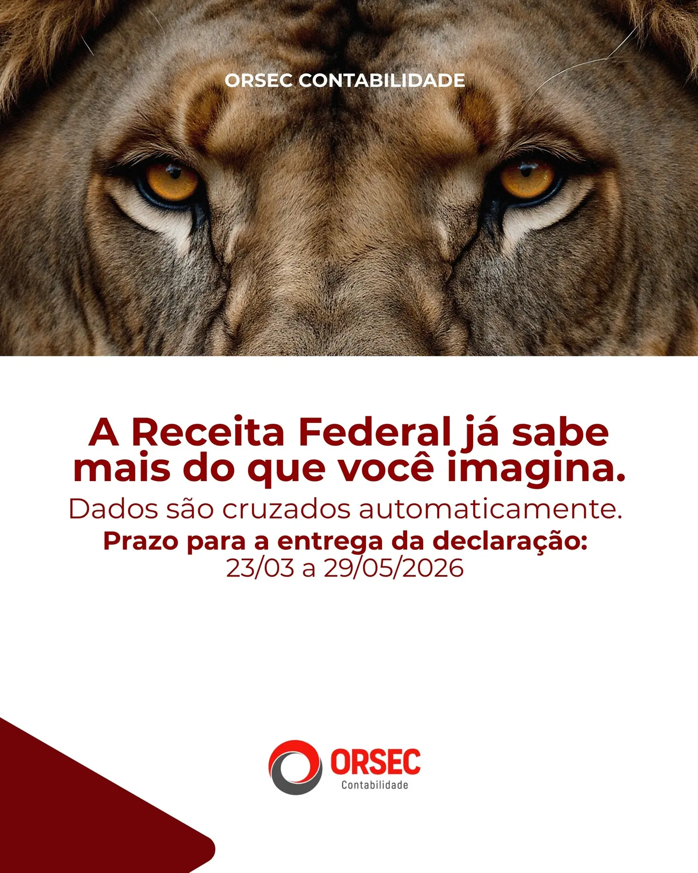 IRPF 2026: Declare Corretamente e Evite Problemas com a Receita Federal