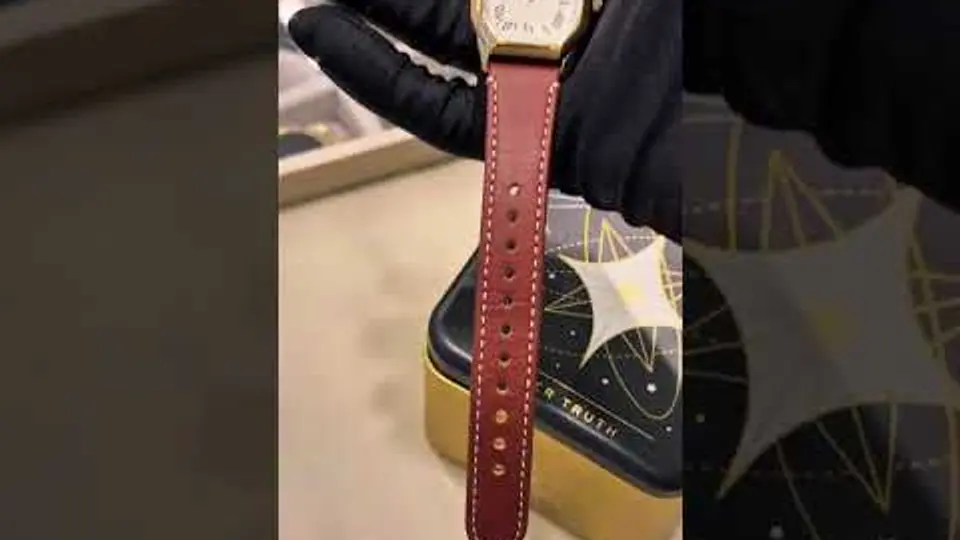 Fossil Harlow: Elegância e Praticidade em um Relógio Feminino