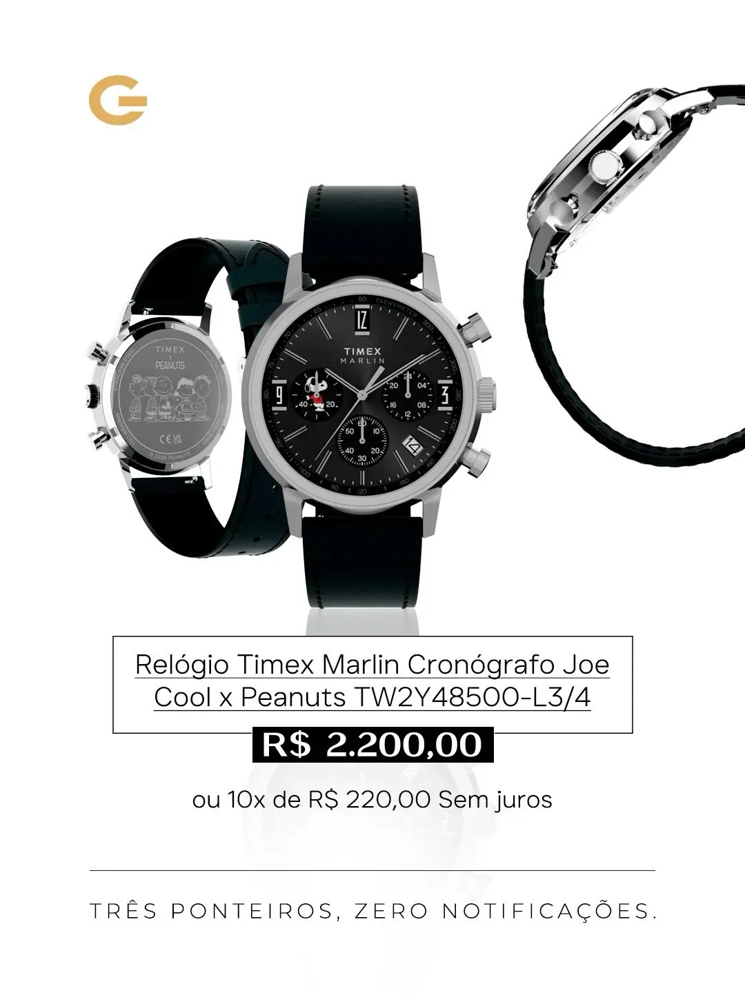 Timex na Guzzatti: A Tradição Encontra a Elegância no Seu Pulso