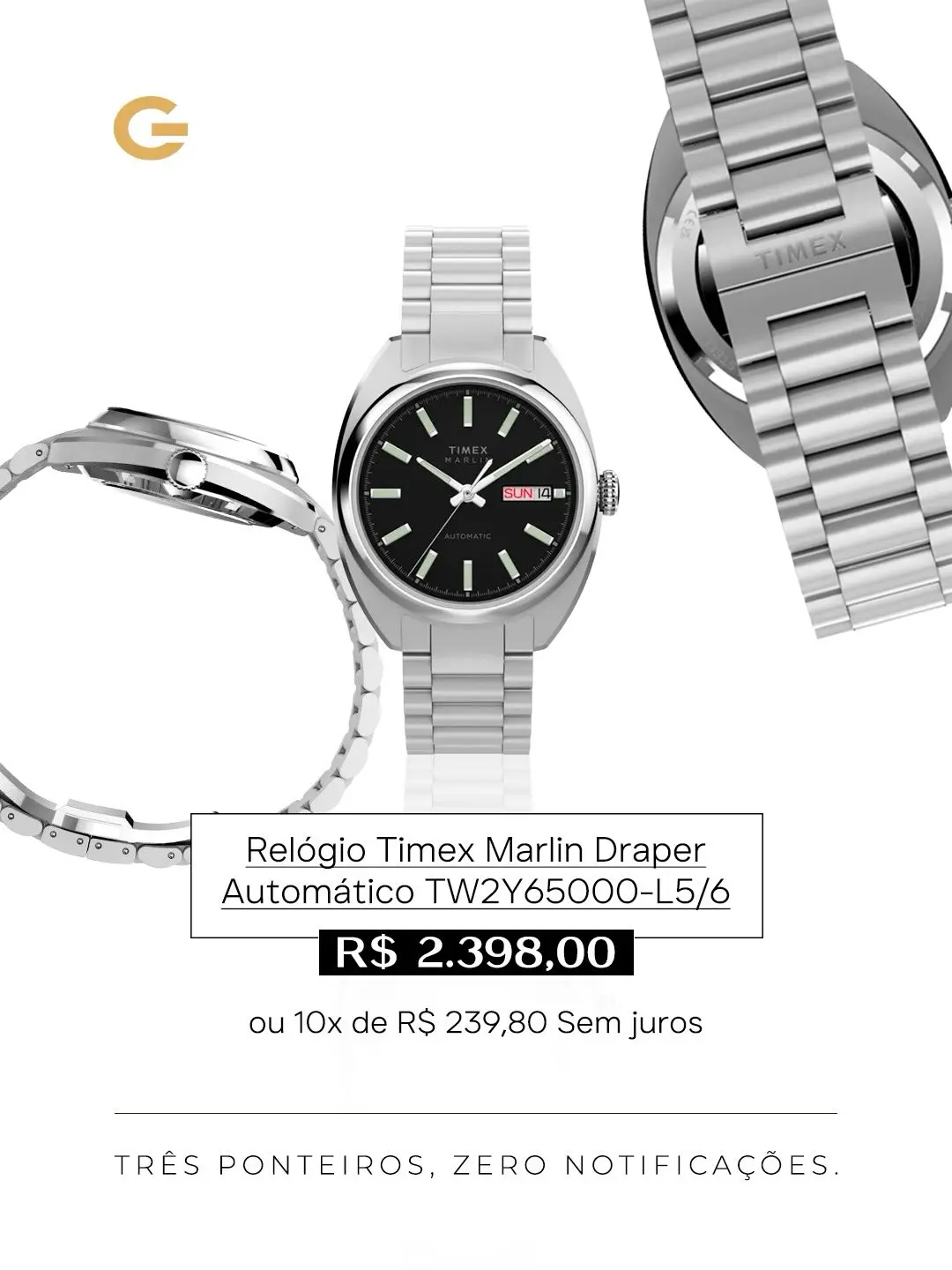 Timex na Guzzatti: A Tradição Encontra a Elegância no Seu Pulso