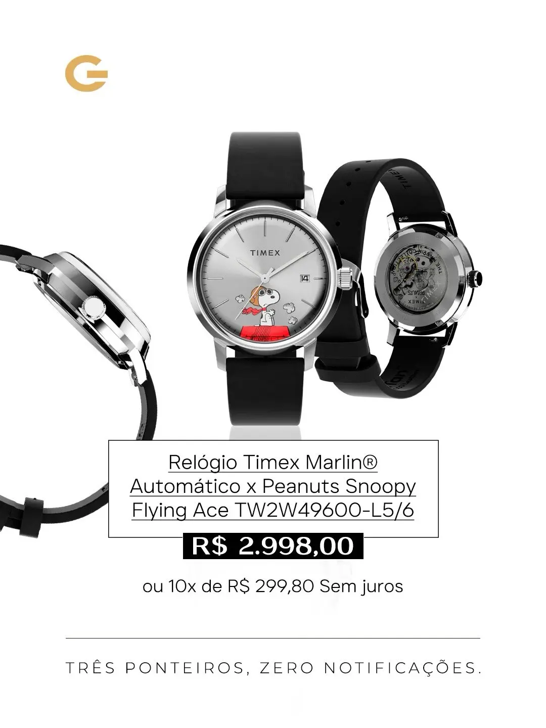 Timex na Guzzatti: A Tradição Encontra a Elegância no Seu Pulso