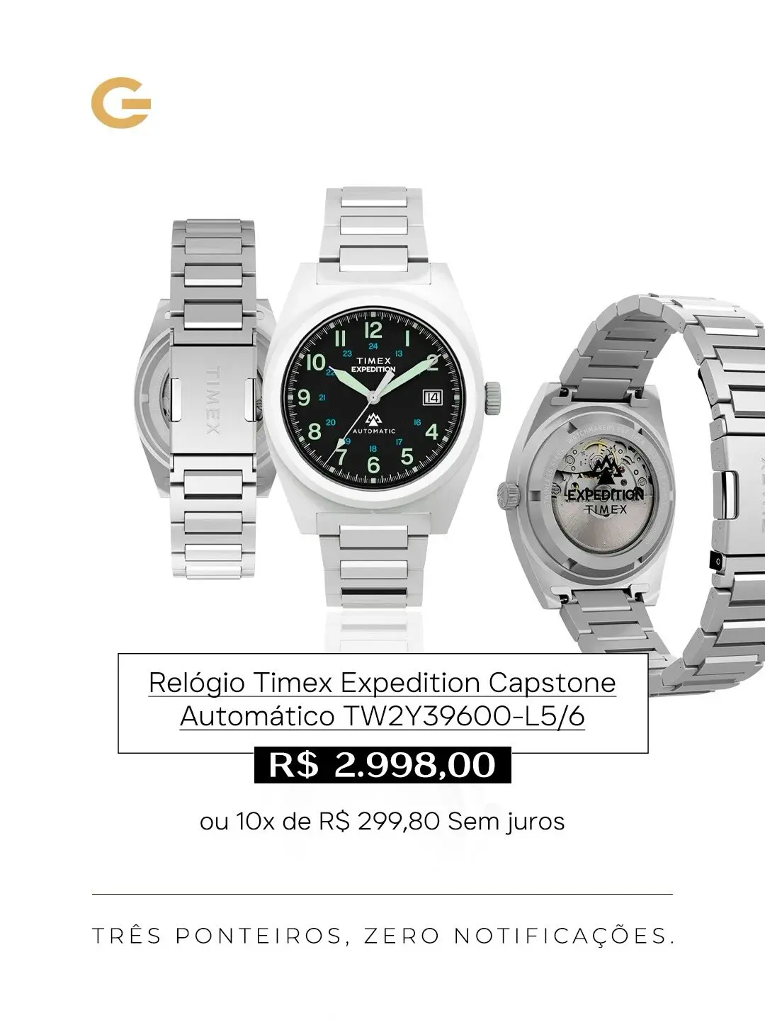 Timex na Guzzatti: A Tradição Encontra a Elegância no Seu Pulso