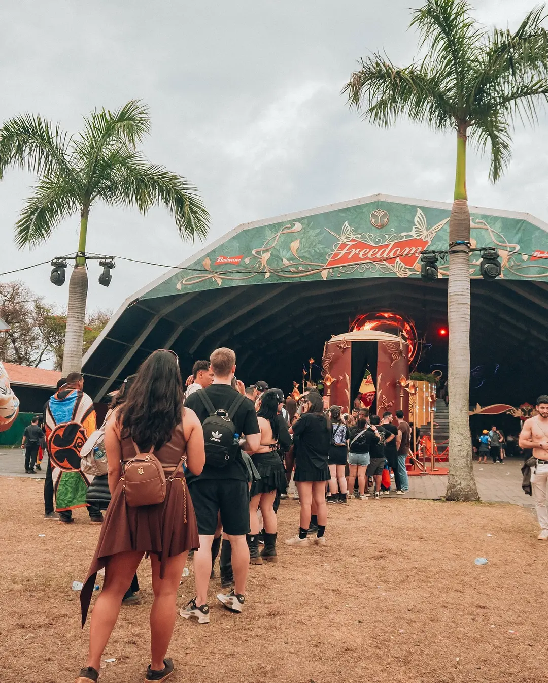 Tomorrowland Brasil: Uma Photo Experience Insana com a ThinkPrintBrasil